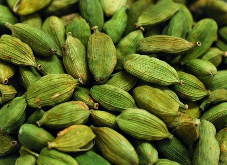 Cardamomo Benef Cios Informa O Nutricional Receitas E Malef Cios